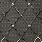 Diamond Shaped radiator grille